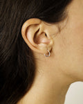 Essential Hoops