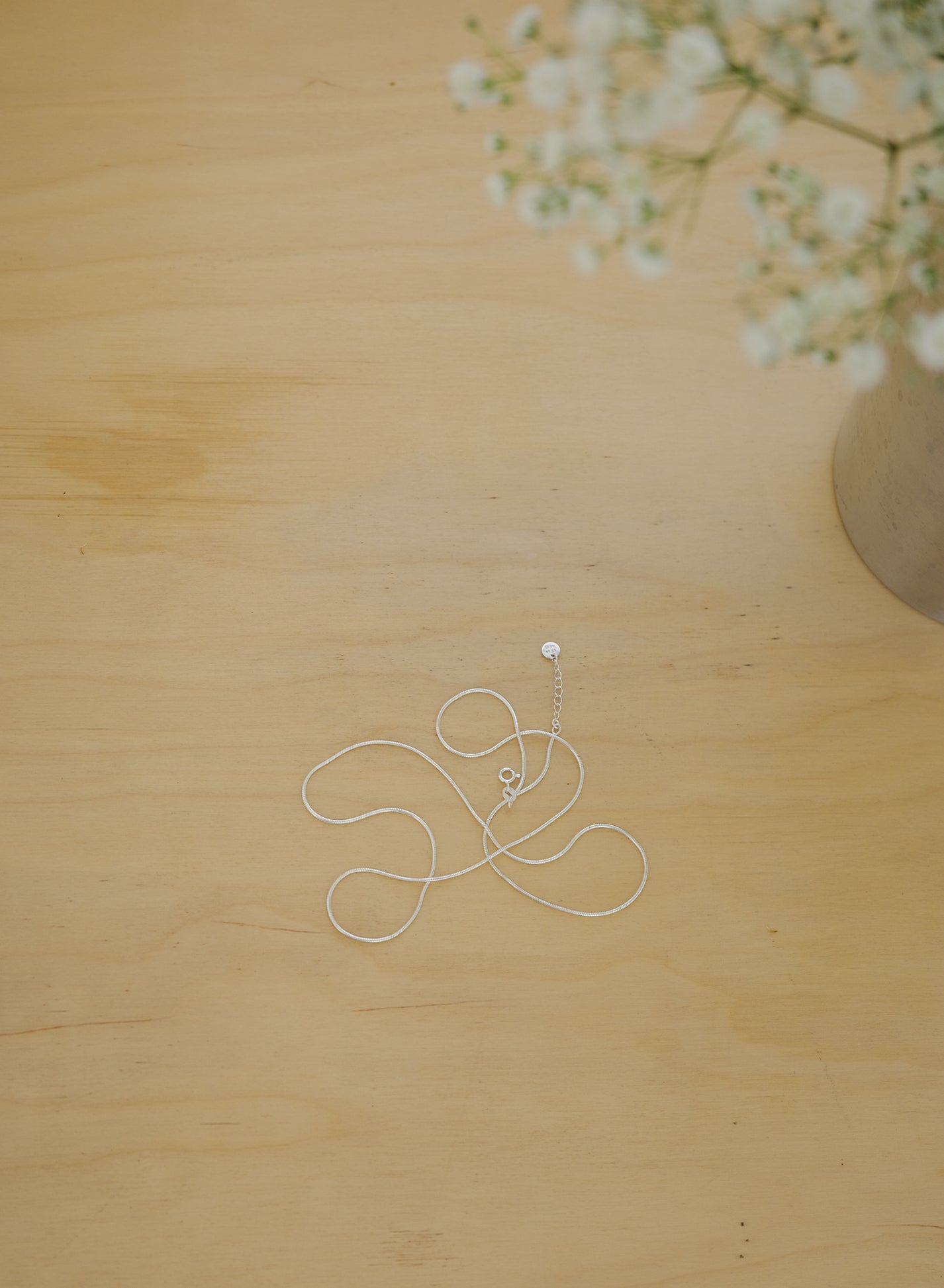 Layer Loing Snake Necklaces