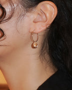 Shell Hoops